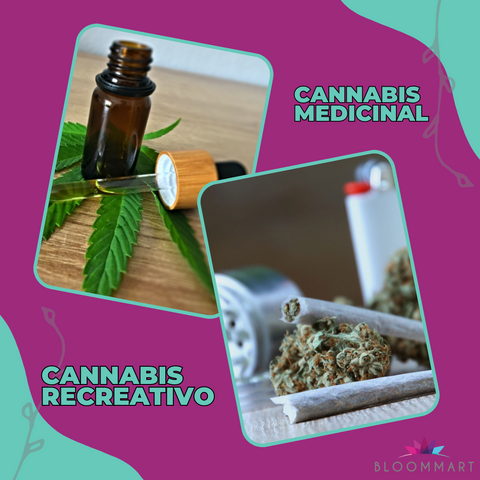 Cannabis medicinal o recreativo