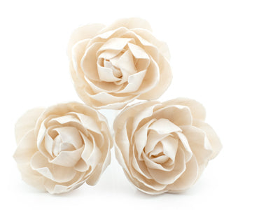 NEW Camellia AirEssence Flowers