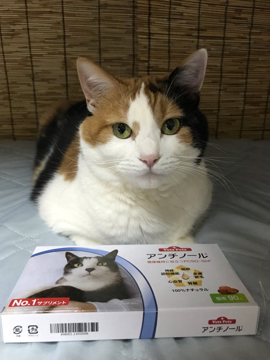 ken Doc 愛犬 愛猫用栄養補完食 50ml✖︎10本入