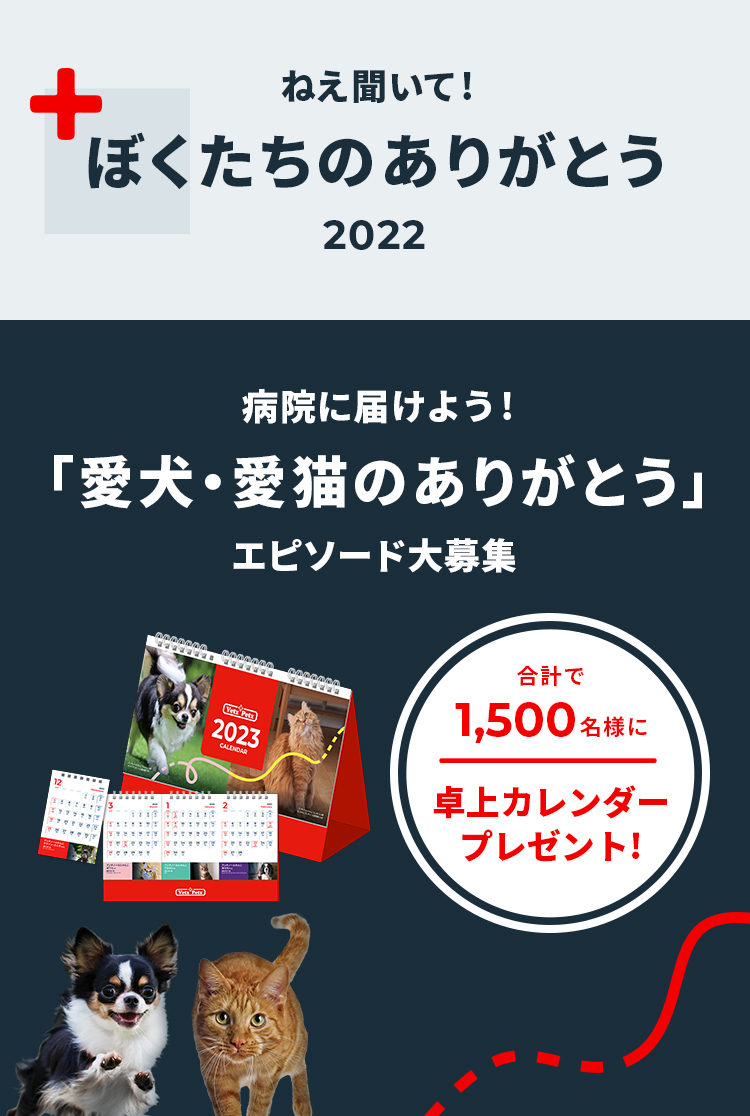 ねえ聞いて！ぼくたちのありがとう 2022