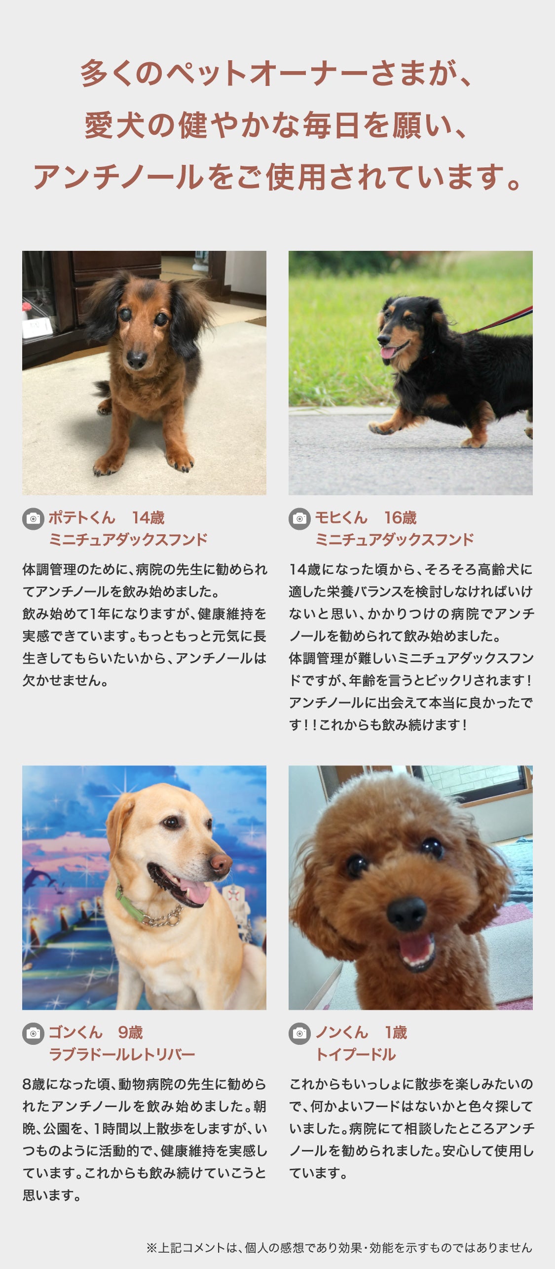 アンチ ノール 犬 用