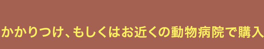 かかりつけ、もしくはお近くの動物病院で購入