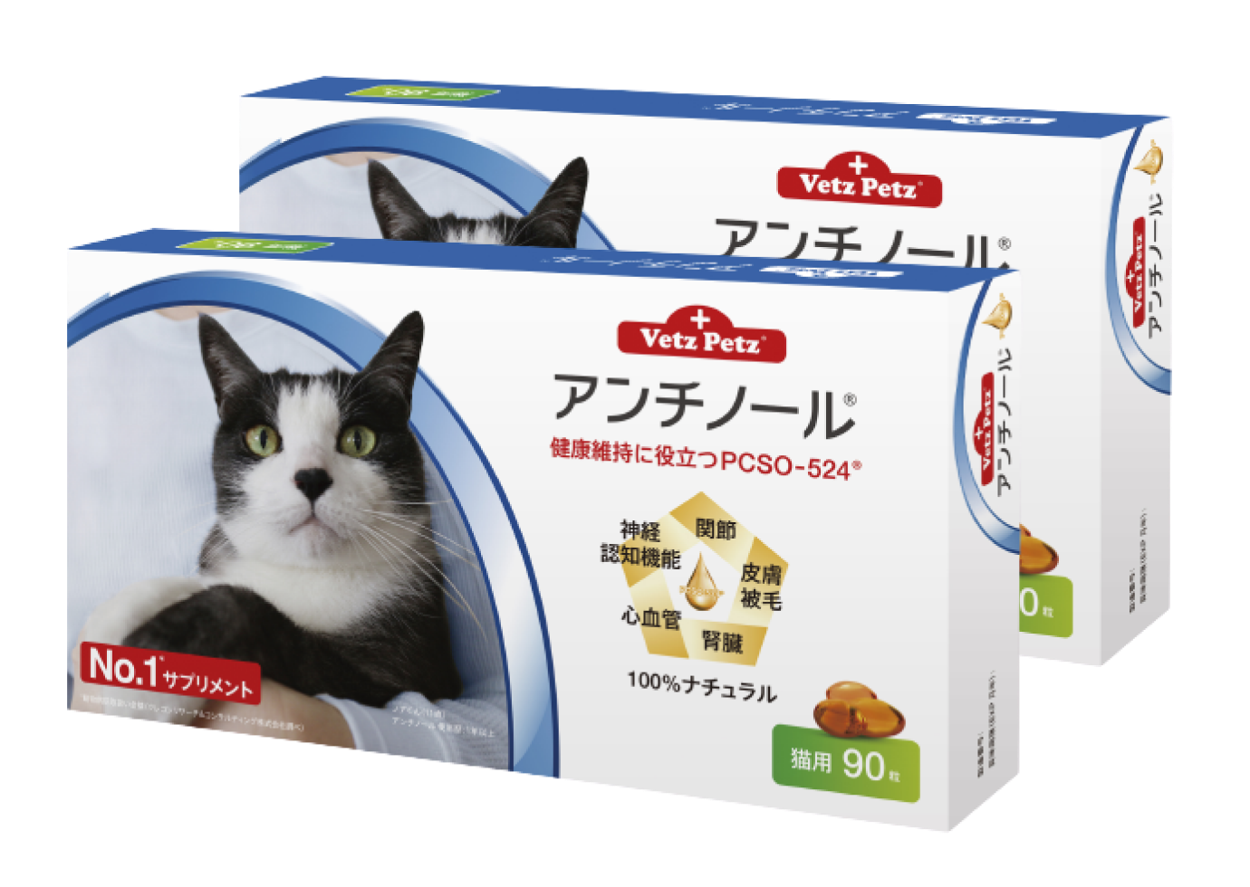 アンチノール 猫用 90粒 2箱〈おまけ付き〉 | www.150.illinois.edu