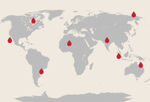 WHICH_COUNTRIES_GIVE_MENSTRUAL_LEAVE