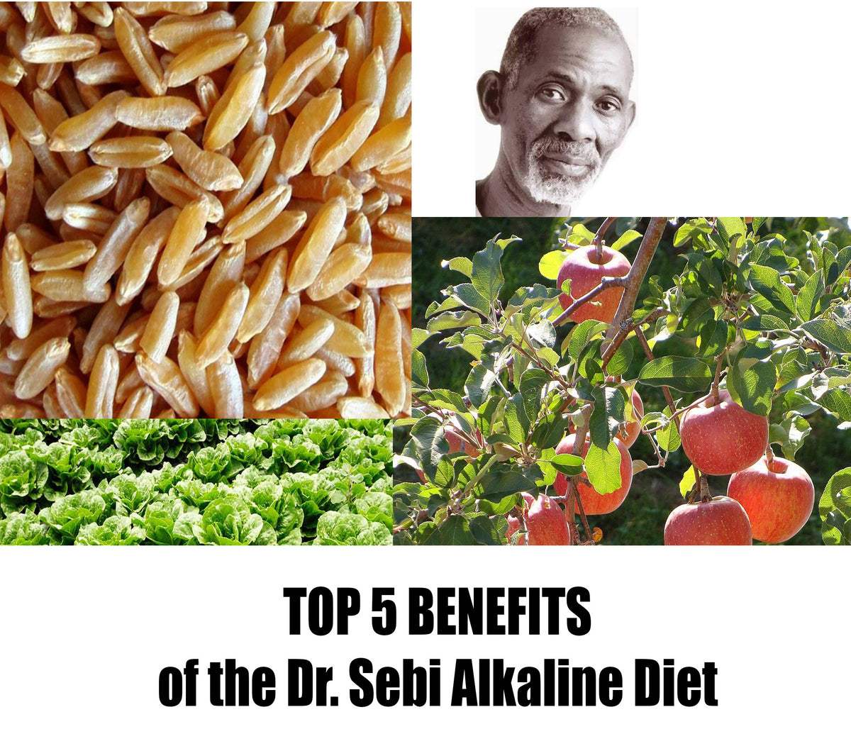 The Top 5 Benefits Of The Dr Sebi Alkaline Diet Josephs Organic Bakery