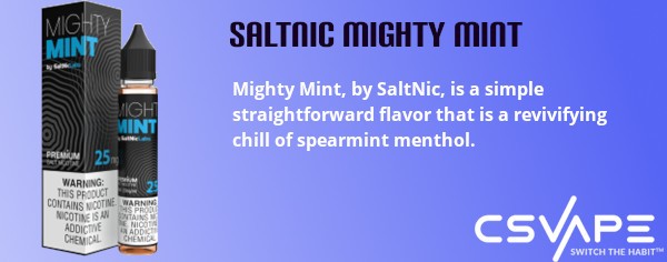 best vape flavors - Saltnic mighty mint