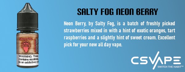 Salty Fog Neon Berry - best vape flavors