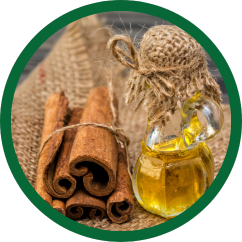 Organic Cinnamon Oil