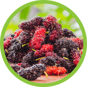 Organic Mulberry Extract