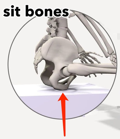 Sit bone