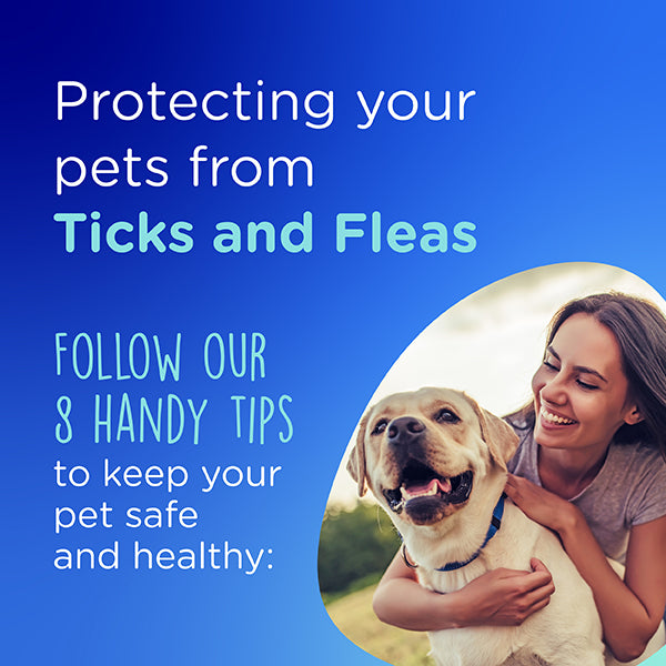 Your Marltons guide to tick and flea prevention and treatment ...