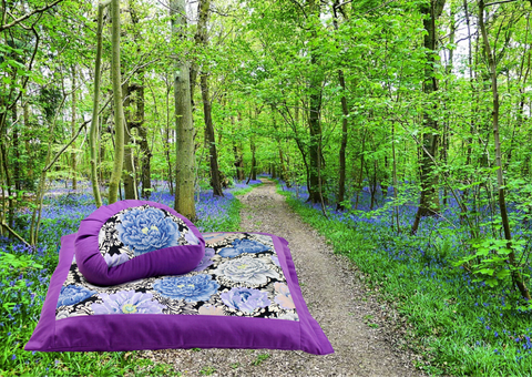 Yoga Meditation Cushion Now with Friends in a beautiful forest with path and bluebells.