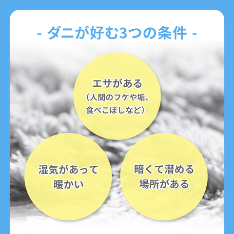 ダニシート ５枚セット 大判サイズ 【送料無料】※代引き不可