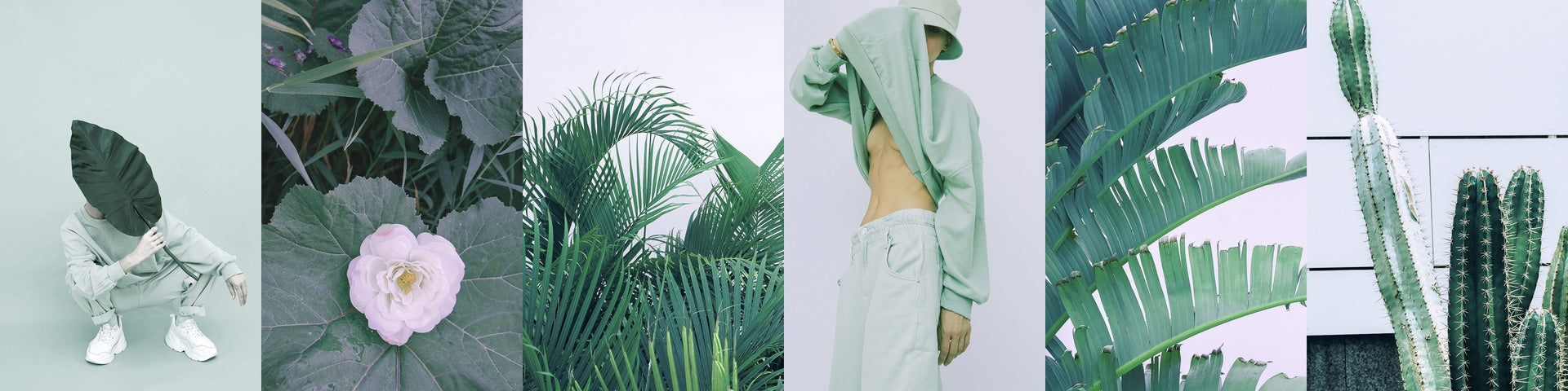 Moodboard de moda temática naturaleza.