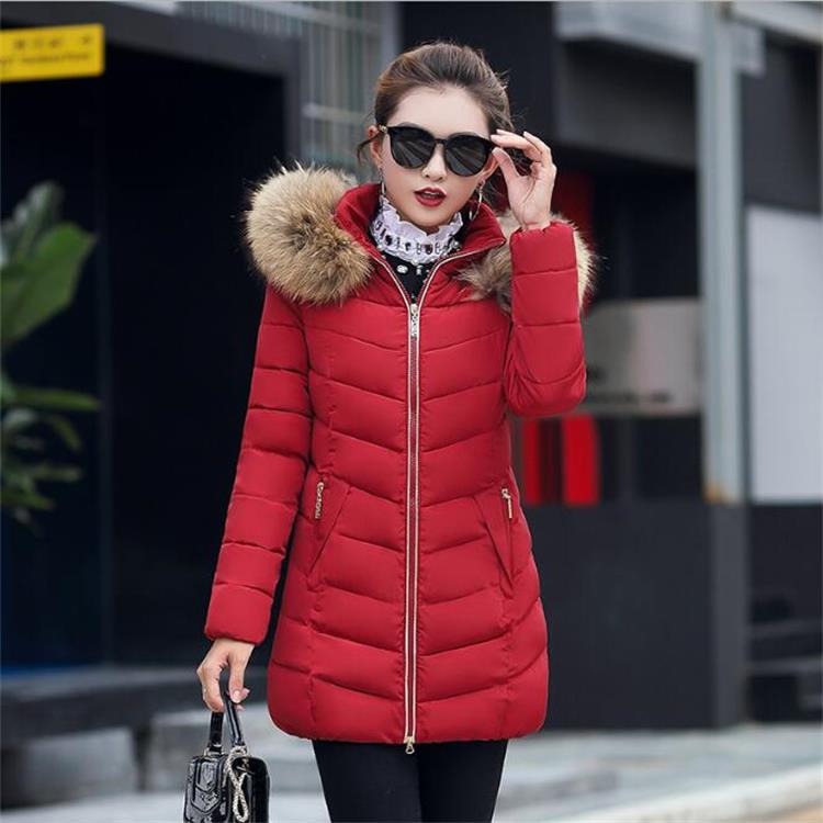 Thick Cotton Fur Collar Hooded Short Jacket