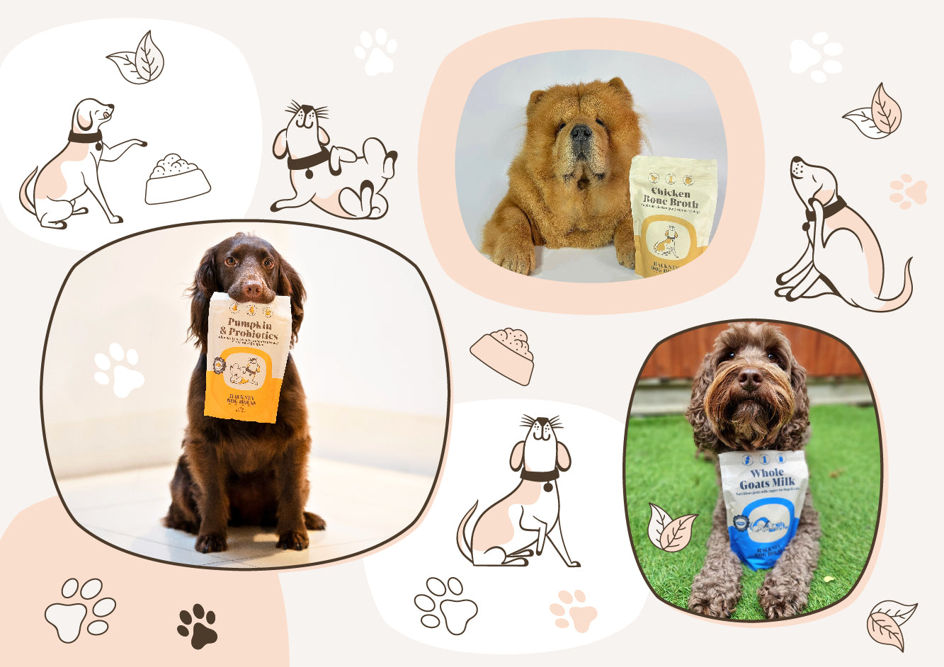 Collage image of three dogs with natural snacks, and playful illustrations of dogs and paw prints around them.