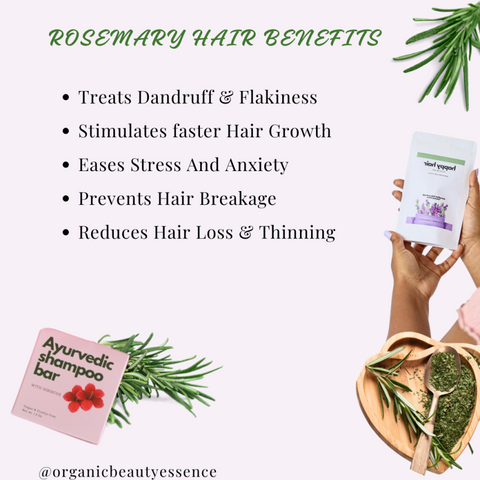 Hair Benefits of Rosemary