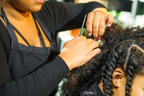 Protective Styling, twists for natural hair, hairstylist