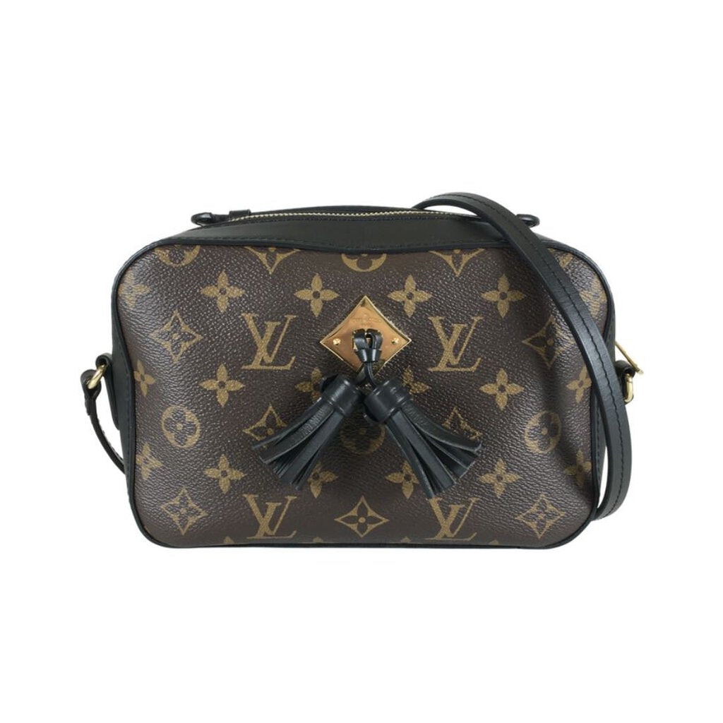 Louis Vuitton Saintonge Bag Reviewed