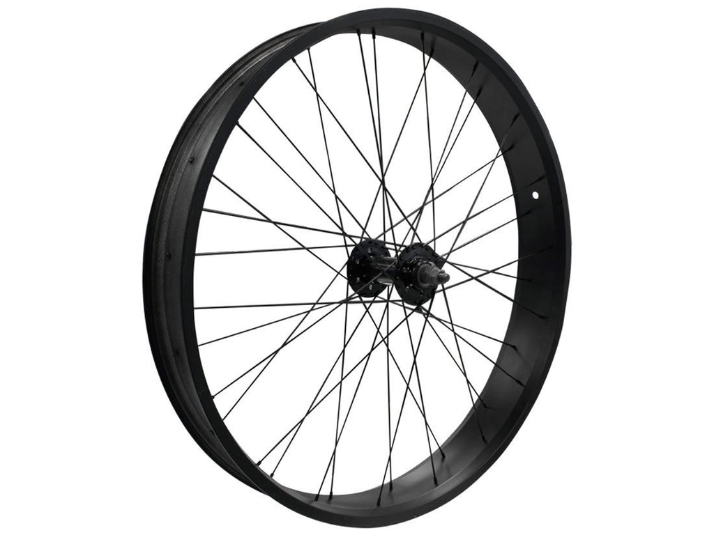 beach cruiser back wheel