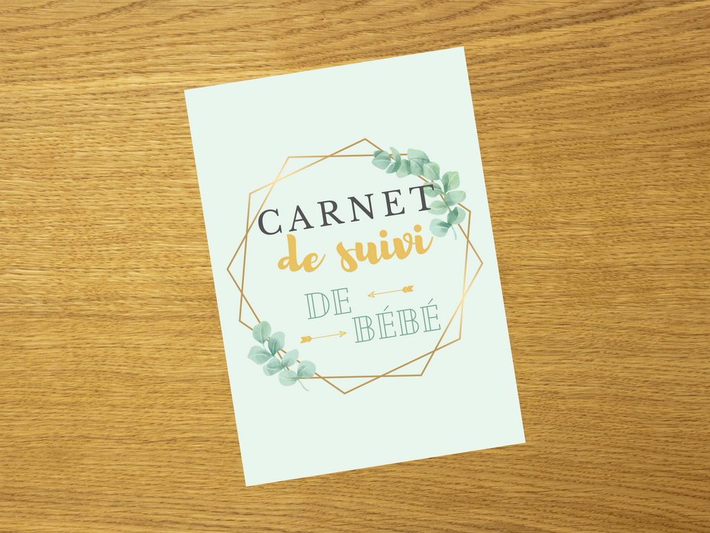 Carnet De Suivi Bebe Aide Memoire Pour Jeunes Parents Seconde Nature Le Shop