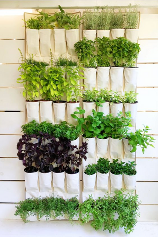 Recycled Pocket Vertical Garden