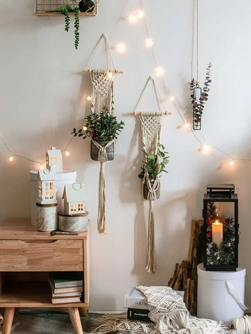 boho indoor garden