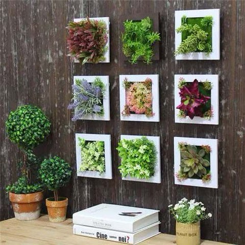  Photoframe Planters for Succulents
