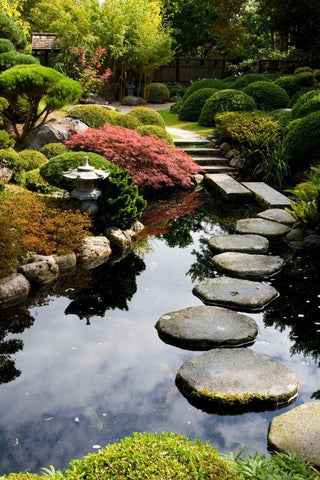 zen garden