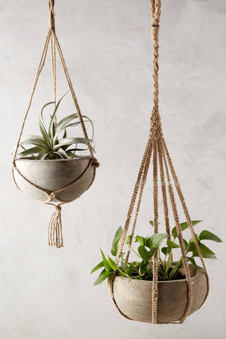 hanging plants display