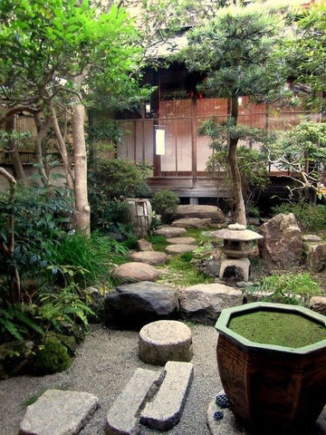 The Best Plants for a Zen Garden: Creating a Relaxing Outdoor Space –