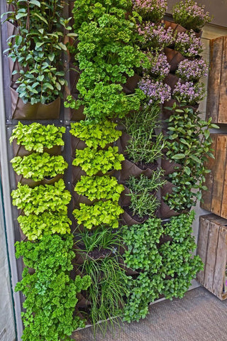 vertical herb garden