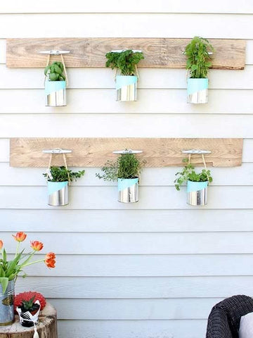 Hanging Paint-Can Herb Garden 