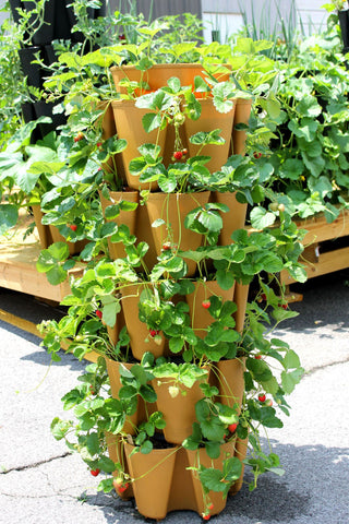 stackable planter