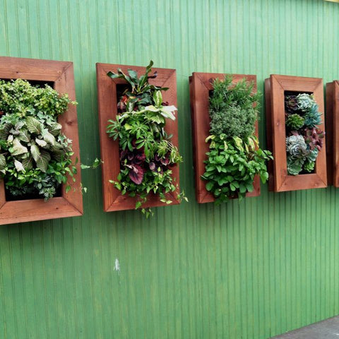 Picture Frame Planter outdoor