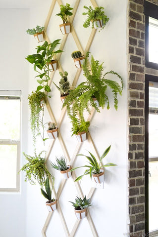 Leather and Wood Trellis Vertical Garden