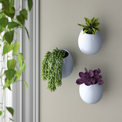 Sticky Planter Herb Garden