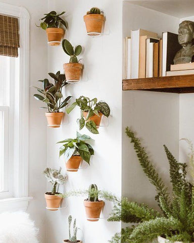 Wall-Mounted Vertical Planter indoor