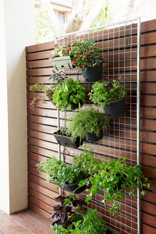 vertical herb garden 