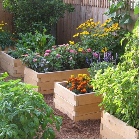 Timbers Raised Garden Bed