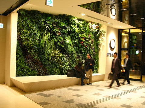 corporate vertical garden