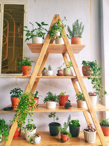 Repurposed Ladder Shelving garden