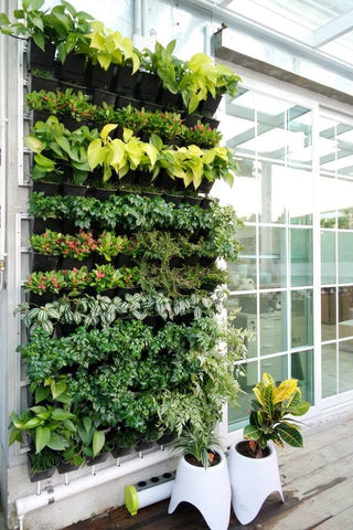 outdoor vertical garden