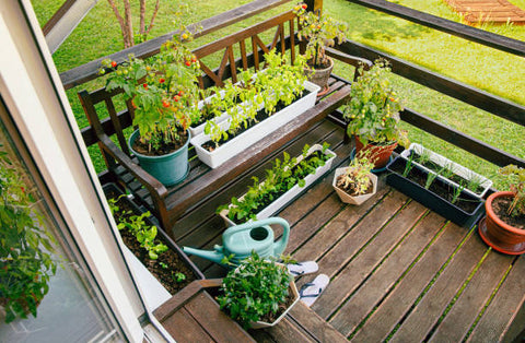 small balcony garden ideas