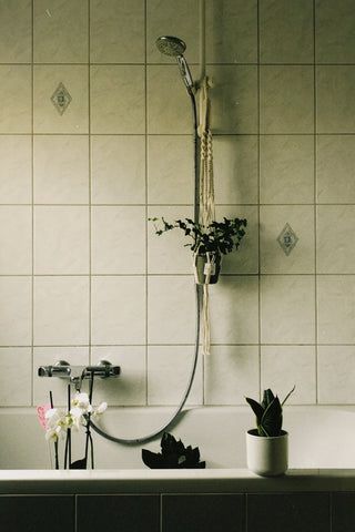 plants in bathroom