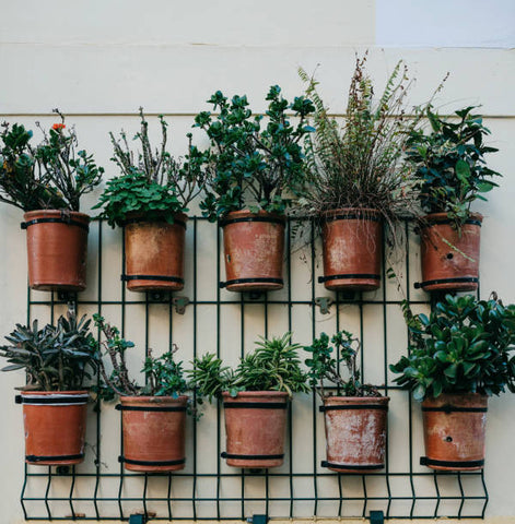 vertical garden