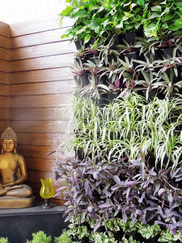 Vertical Garden India - Make your walls more attractive