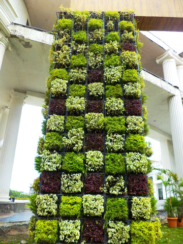 Vertical Gardens to attract wild life