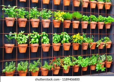 Vertical Gardens to grow herbs 