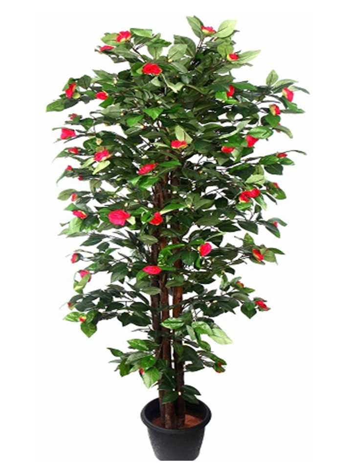 Artificial Pink Camelia Flower Plant - 6 feet — 